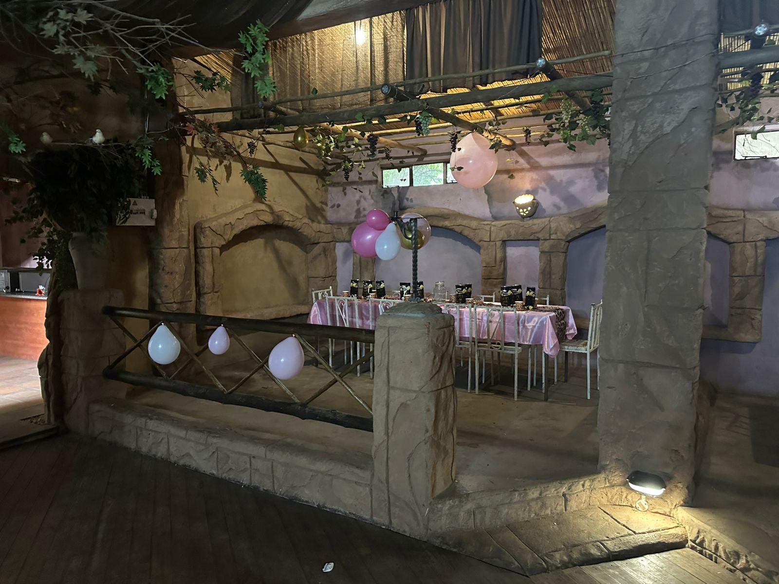 Party Animals themed plates and cups